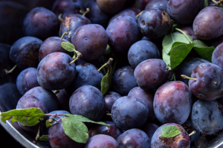 gallery/plums